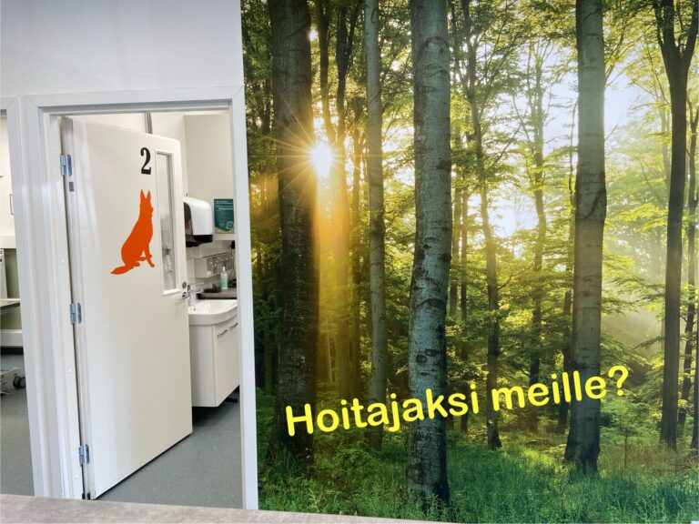 Söker en spelande klinikveterinär till en växande klinik