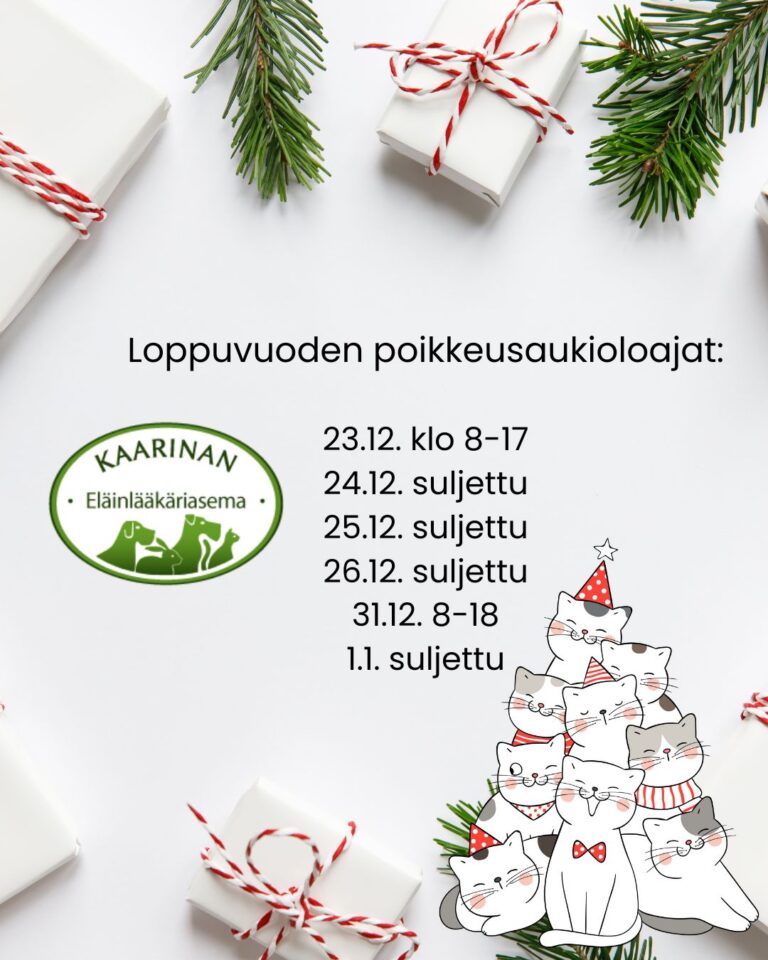 Öppettider för jul och nyår